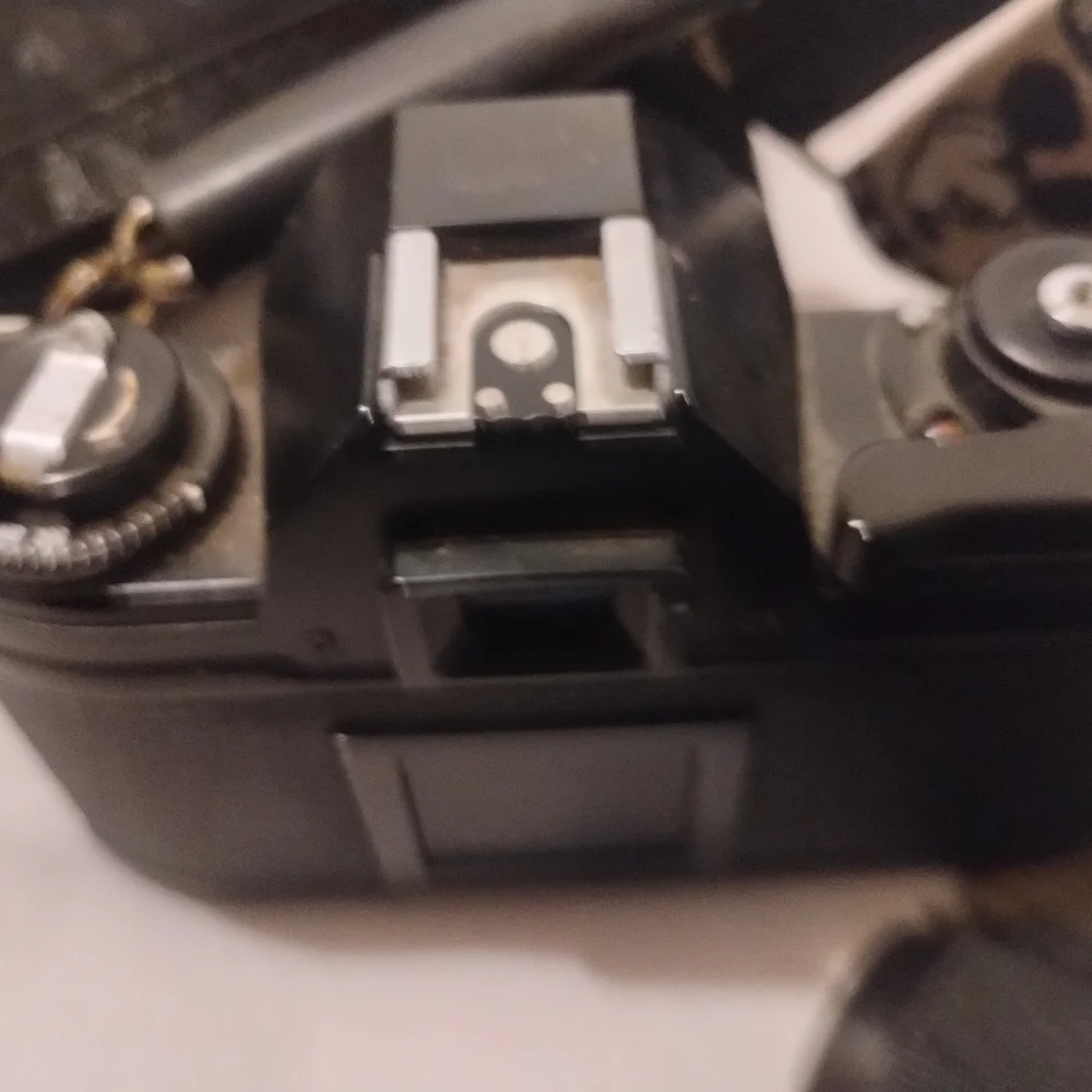 Nikon camera